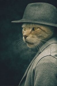 Catssy Gentleman